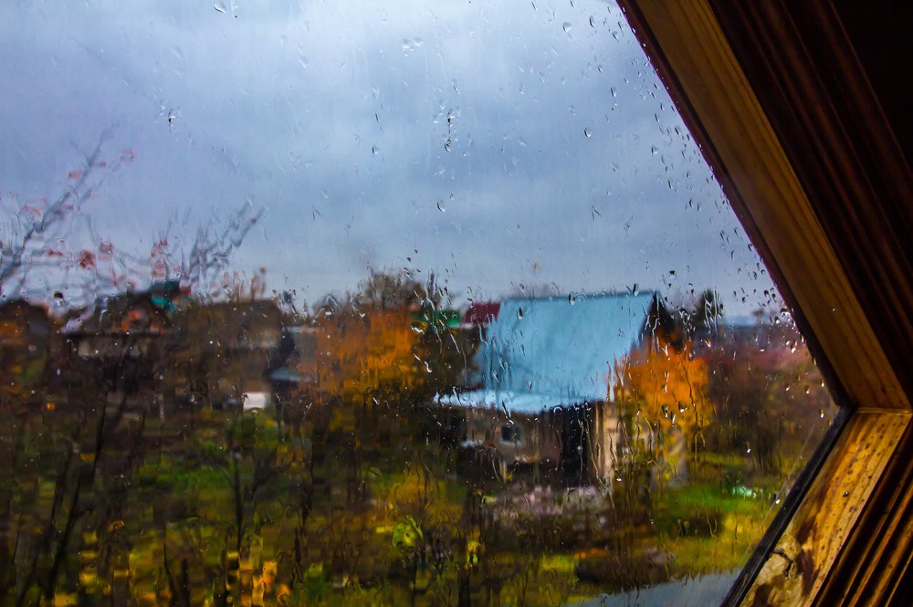 Осень в саду