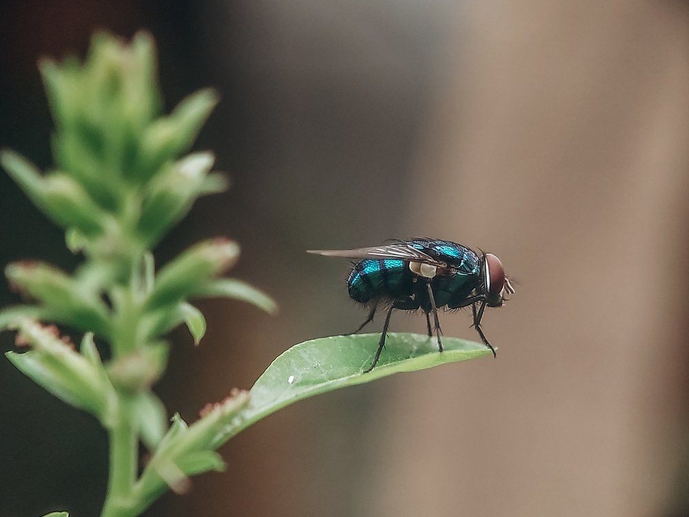 Photograph by Junryhle Adem