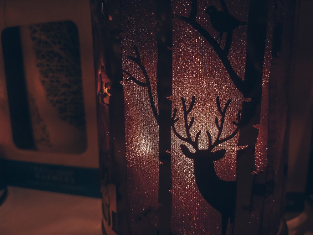 Photograph by Junryhle Adem