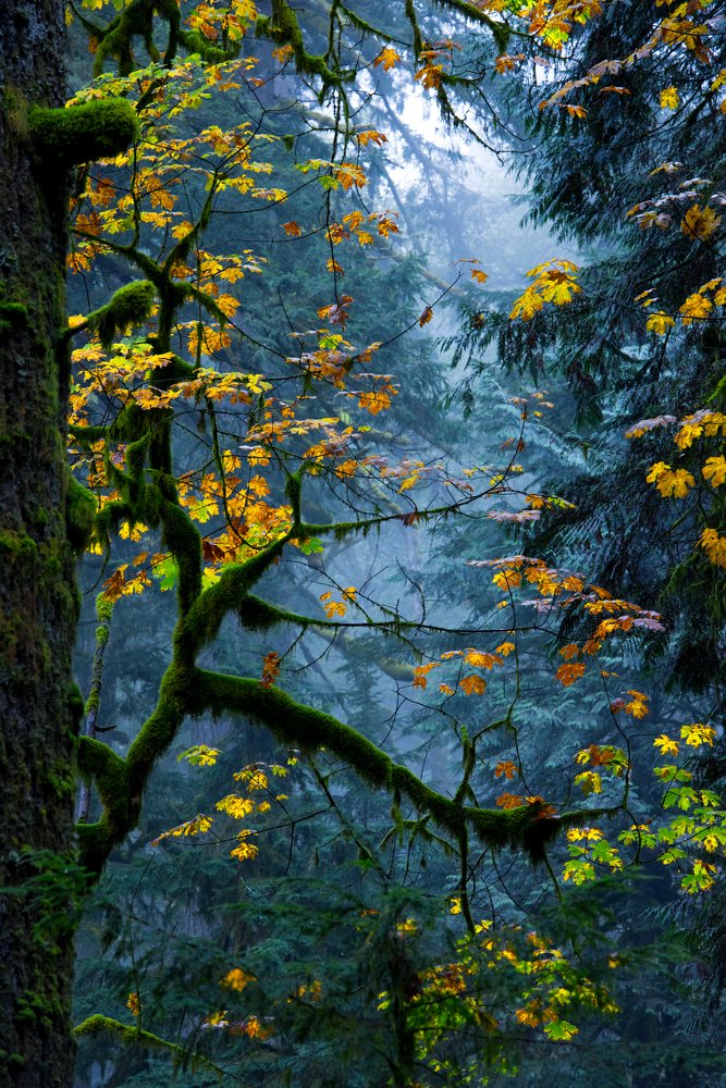 Photograph by  HITTHEROAD