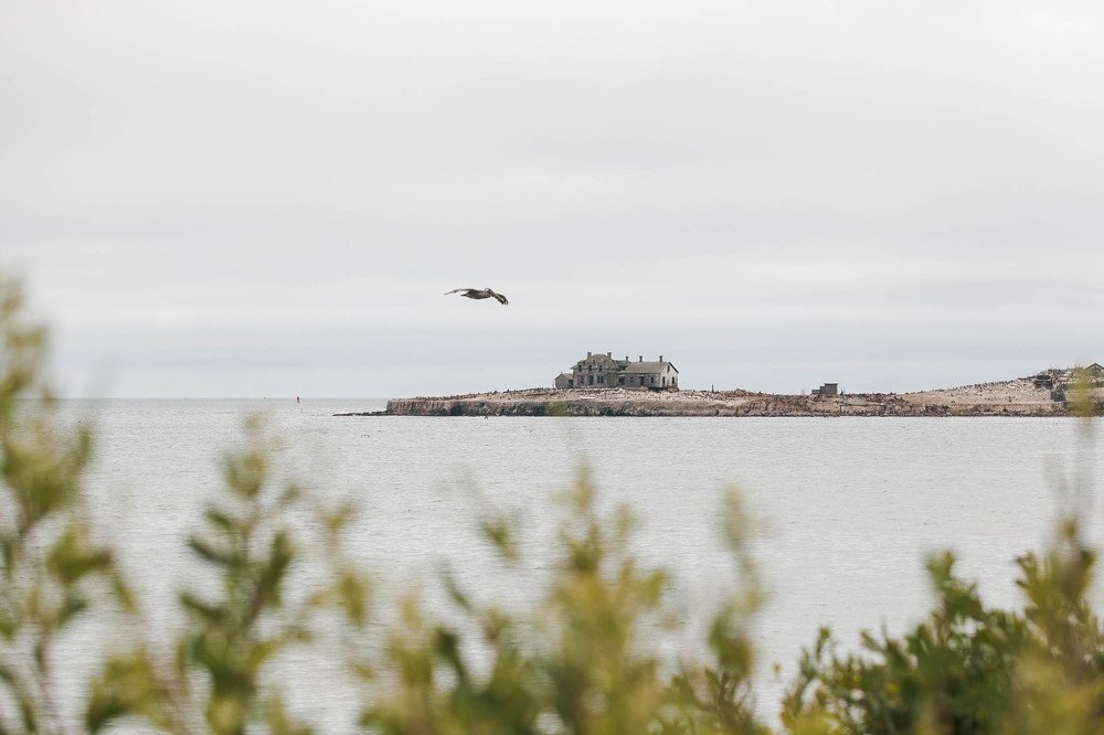 Photograph by Amalya Shandelman