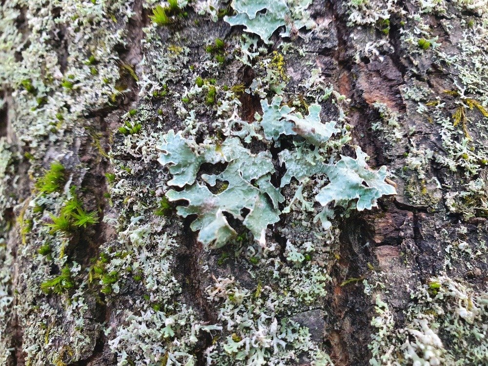 Photograph by Елена Харитонова