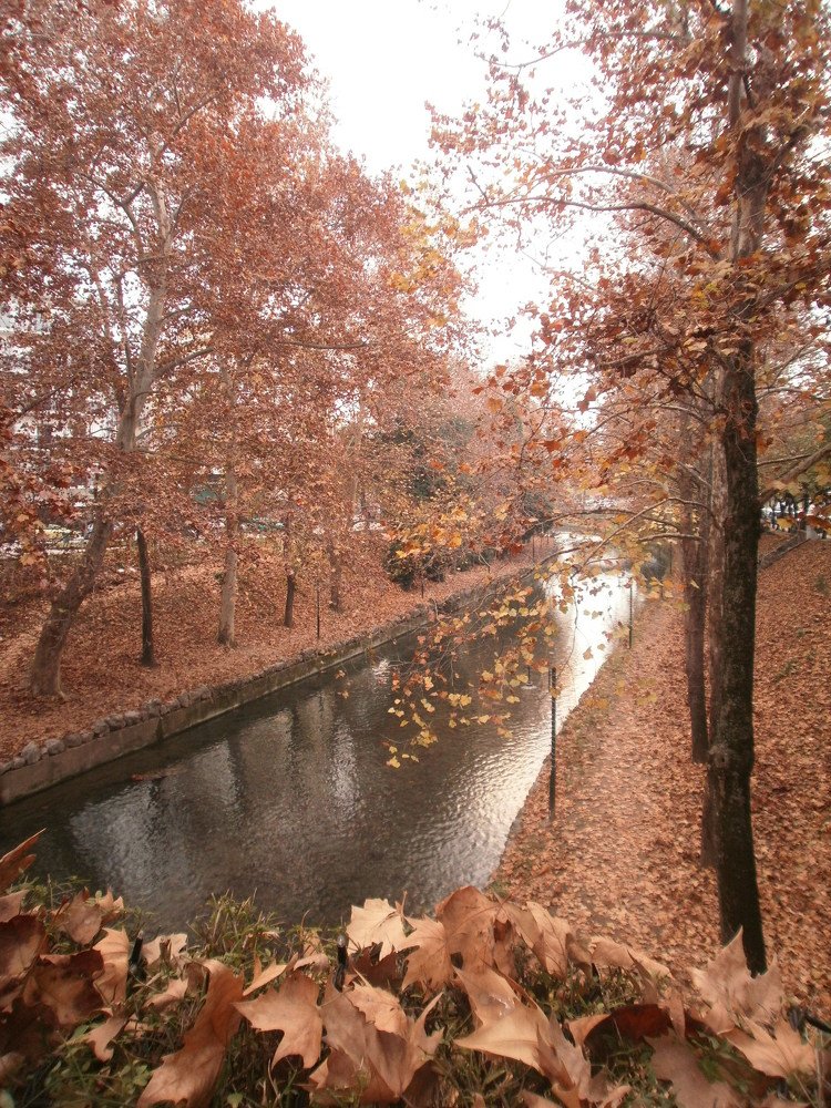 Fall on the river