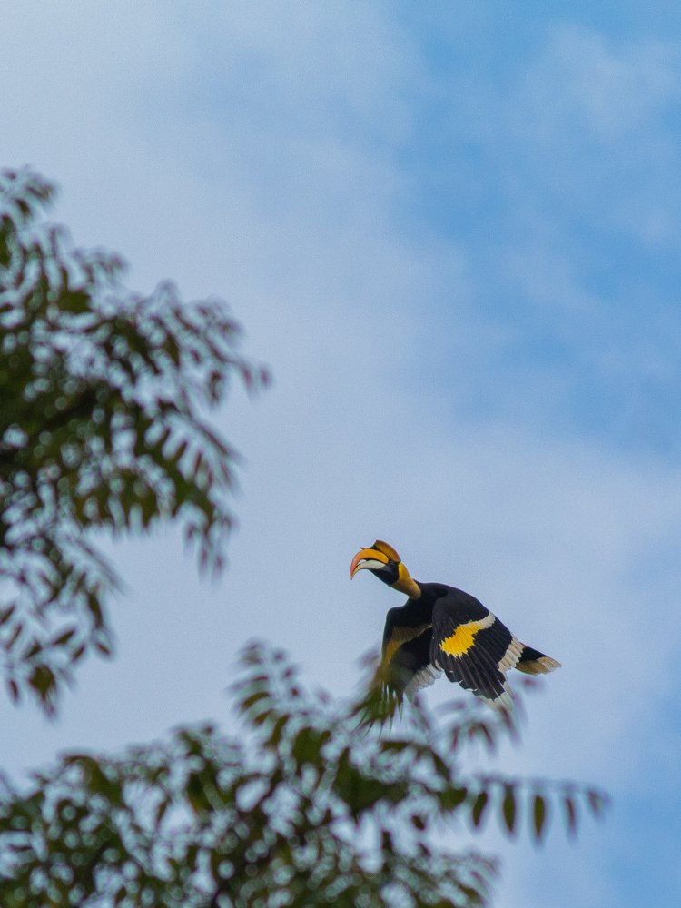 Photograph by Sabareesh V