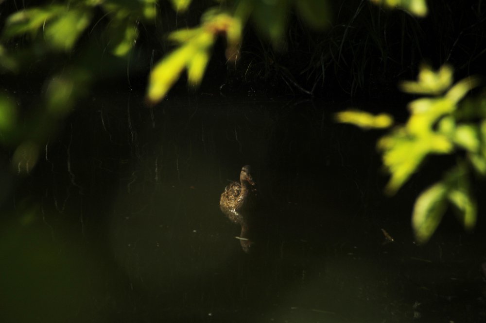 Photograph by Илья Беликов