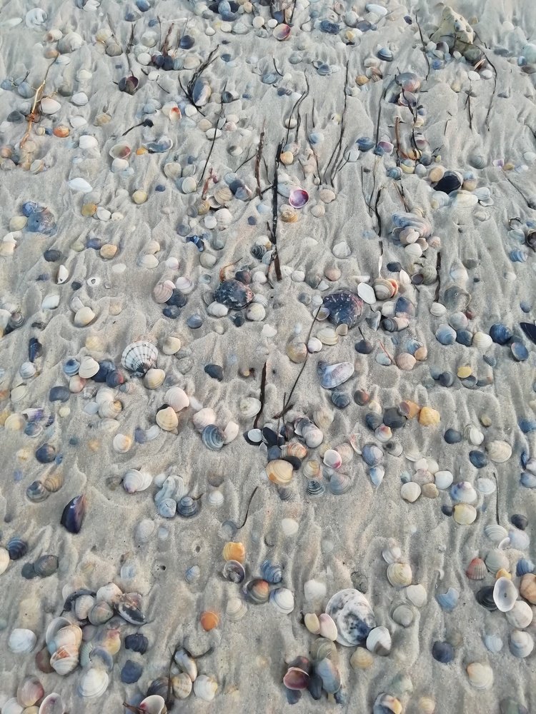 Photograph by Ірина Дрок