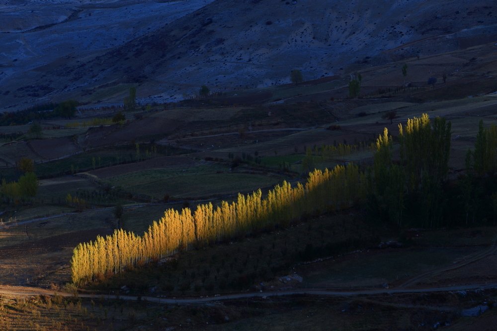 Photograph by Хамдам Шарахмедов