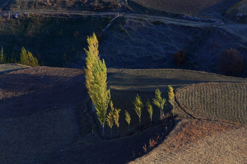 Photograph by Хамдам Шарахмедов