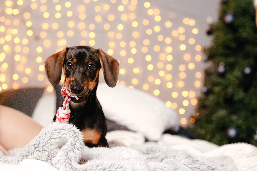 Photograph by Анна Евдокимова