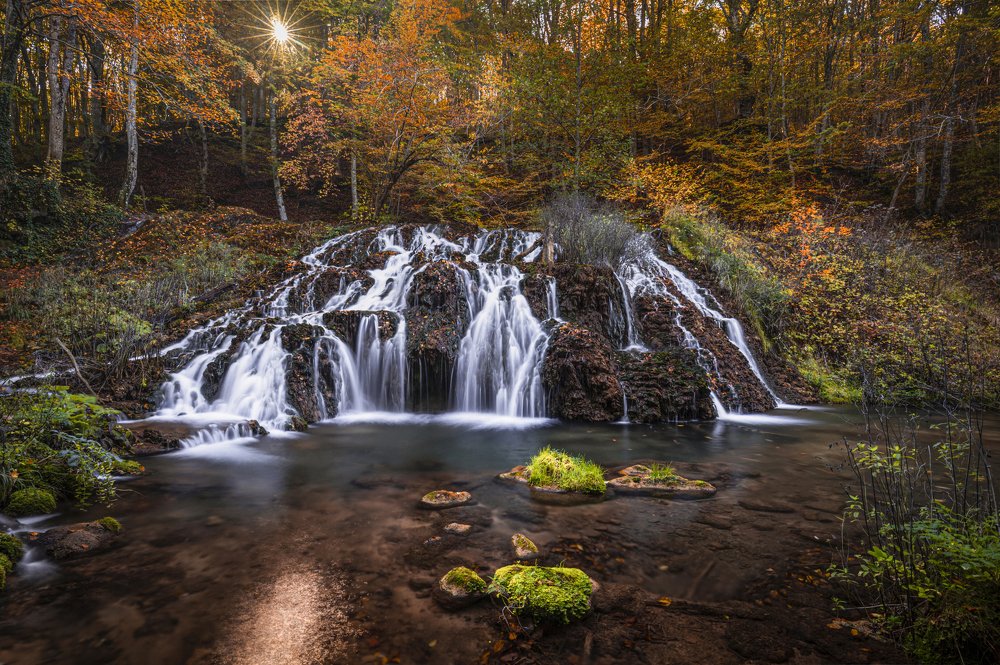 Осенние цвет