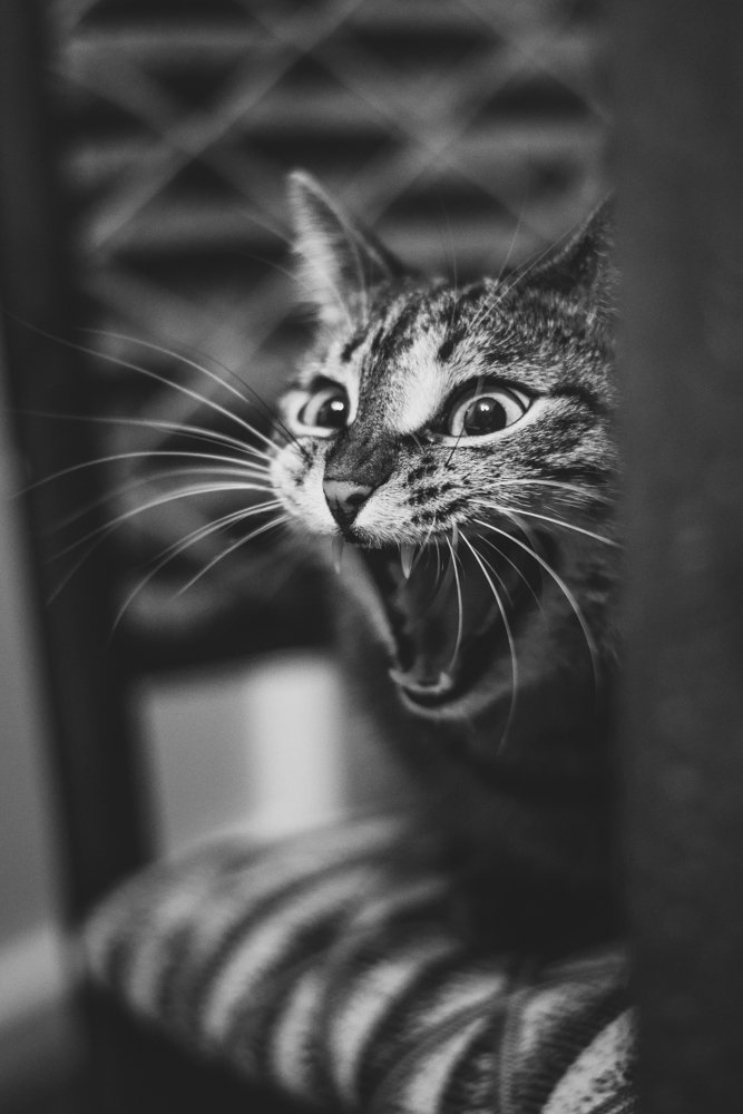 Photograph by Татьяна Скляр