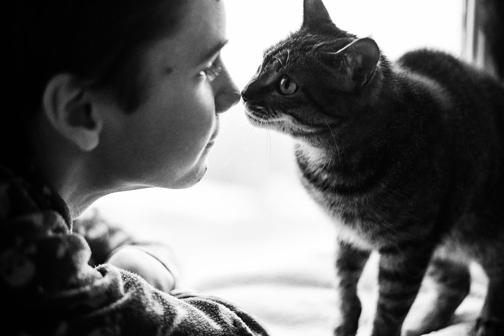 Photograph by Татьяна Скляр