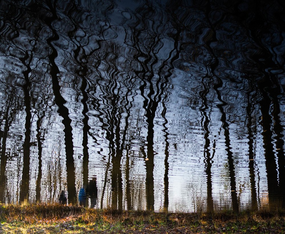 Photograph by Валяева Анастасия