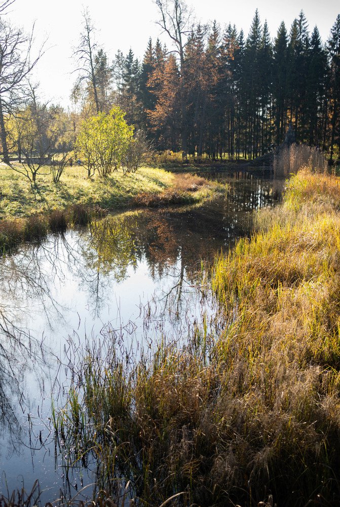 Photograph by Валяева Анастасия