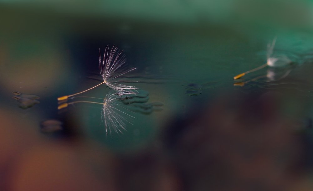 Photograph by Евгения Номаконова