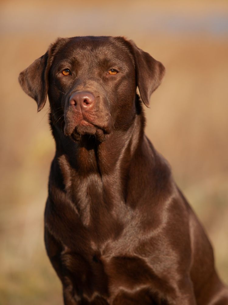 Мизанфа Жоли Евгеника Ностальжи. Рязань.