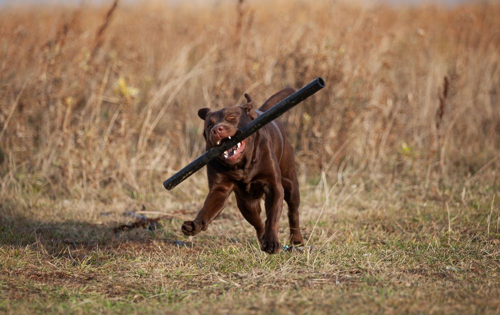 Photograph by Сергей Аборин