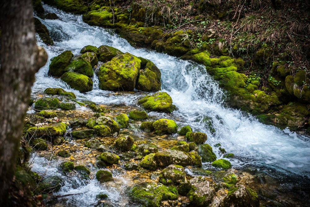 Photograph by Radu Constantinescu