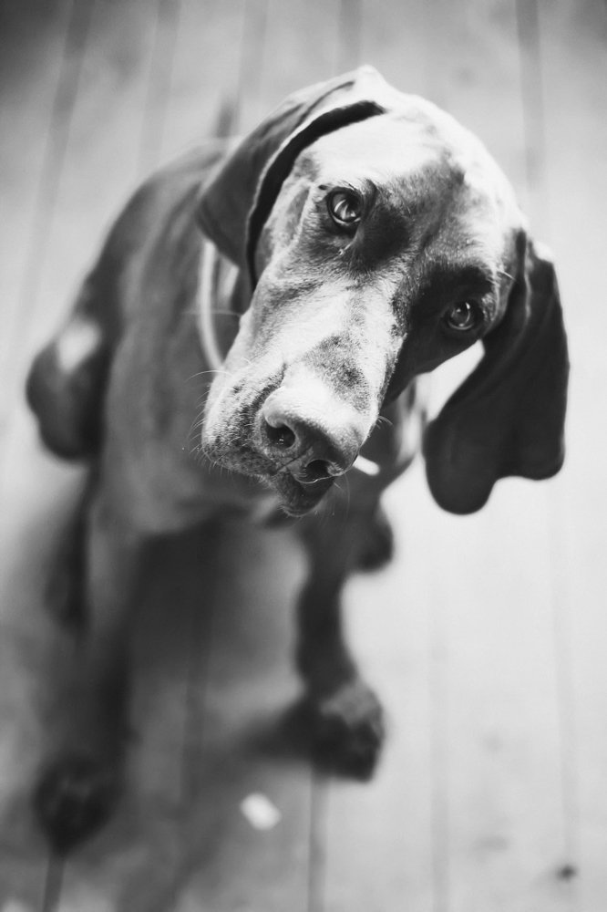 Photograph by Kristina Shlimovich