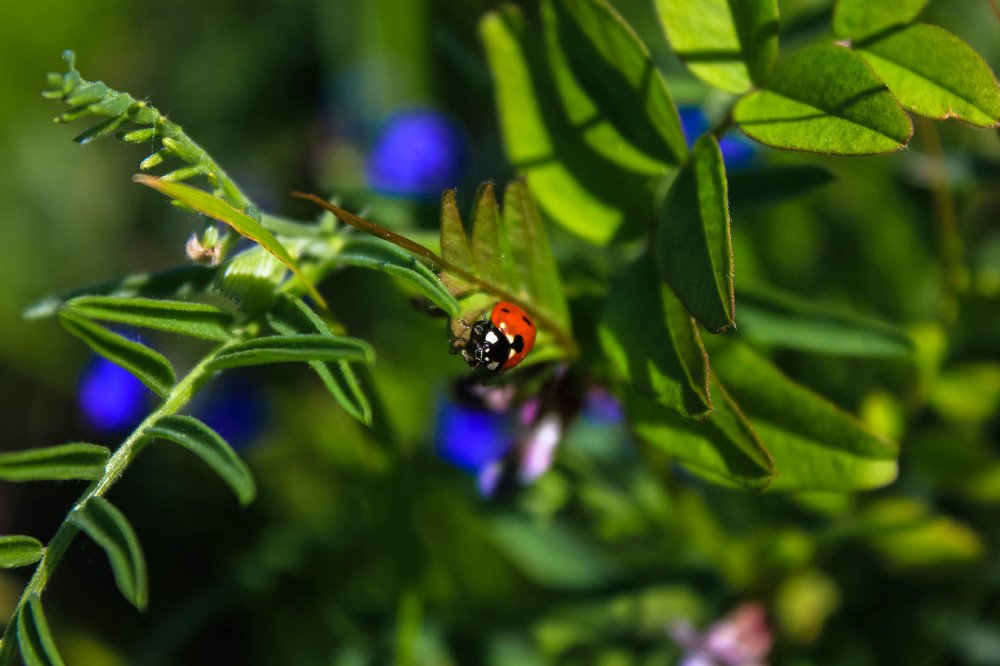 Фотография автора Анастасия Красикова