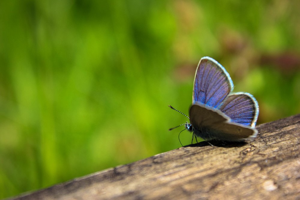 Фотография автора Анастасия Красикова