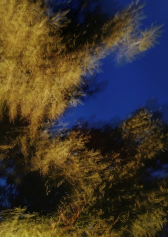 Photograph by Ная Моложенко