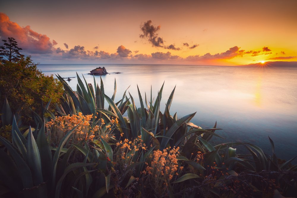 Photograph by Evgeni Fabis