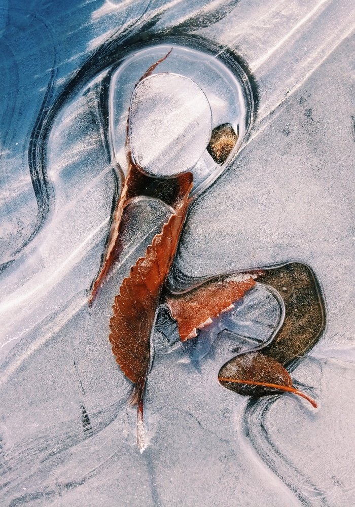 Скованы льдом