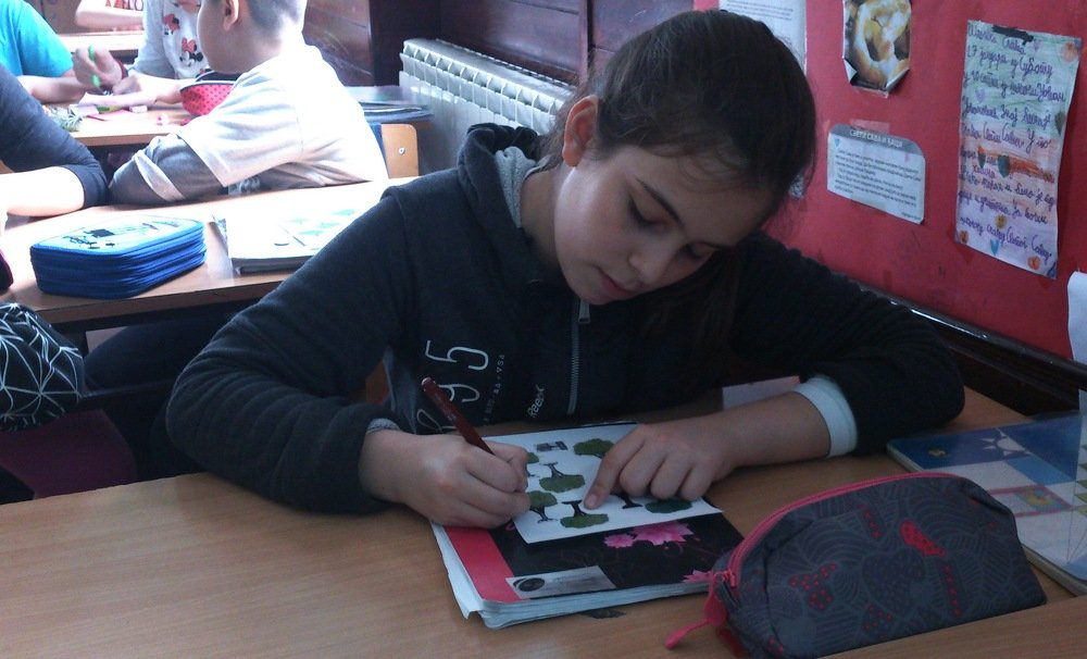 Фотография автора Kreculj Dejan