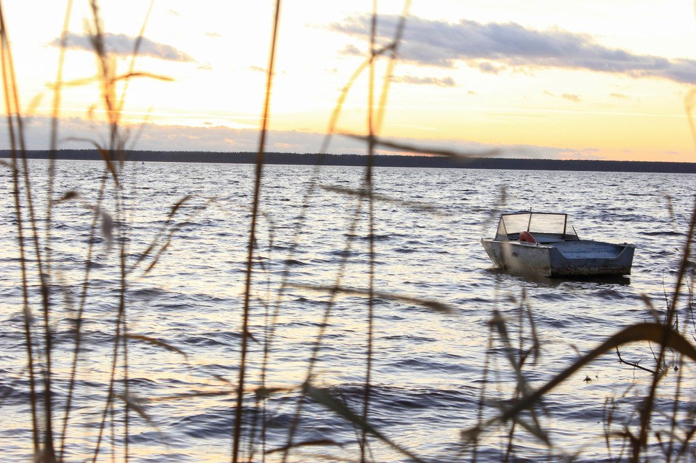 Фотография автора Анастасия Красикова