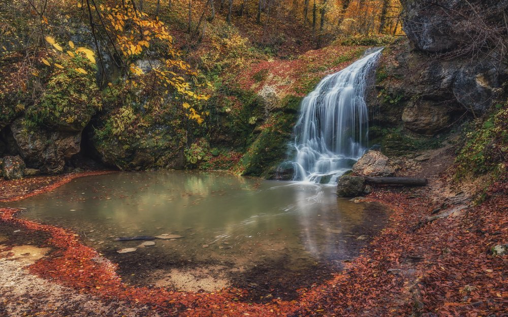 С осенним Шумом...