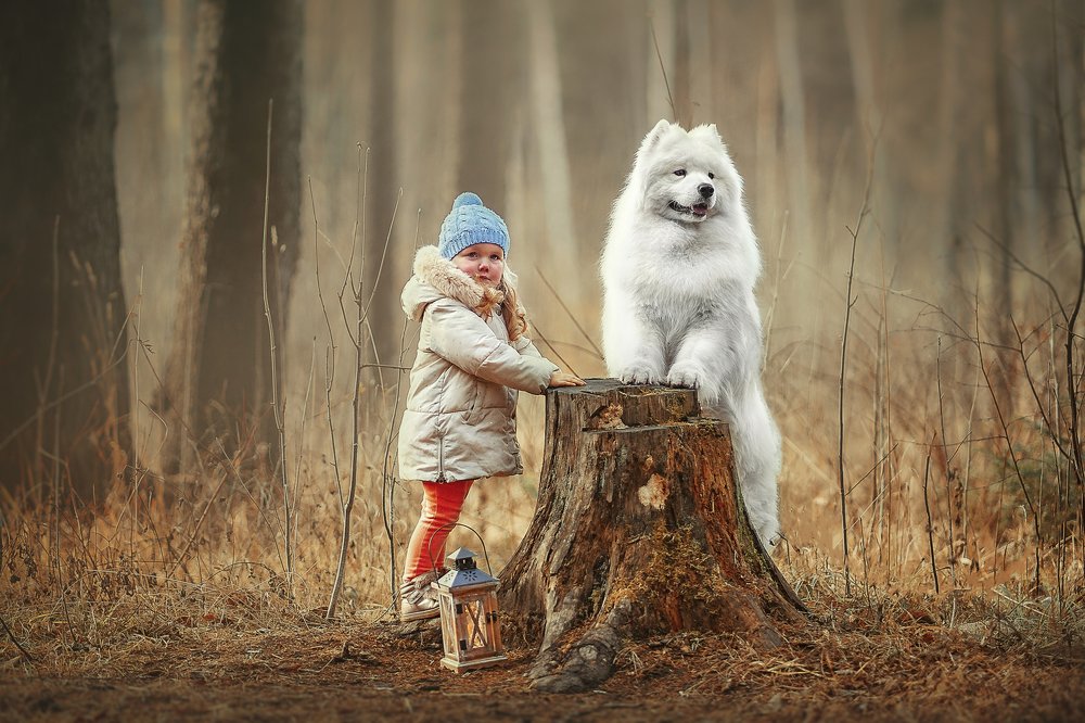 Photograph by Ксения Лысенкова