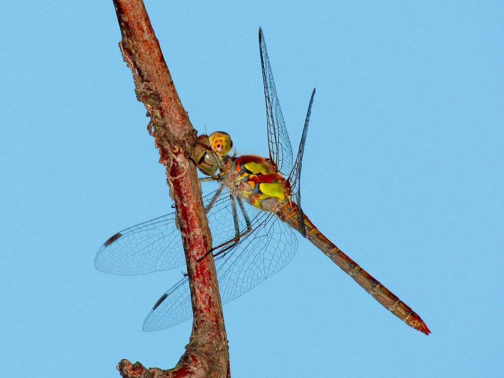 Photograph by Мариам Захарян