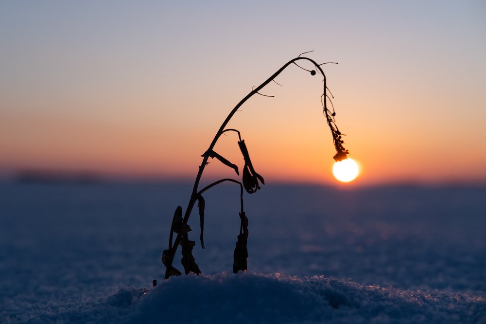 Коллекционер закатов