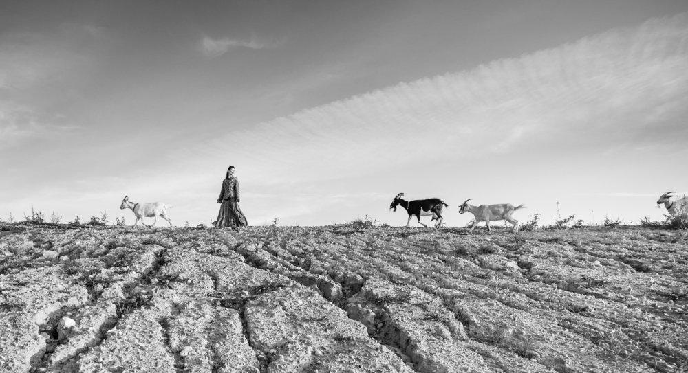 Photograph by Saulius Mikalauskas