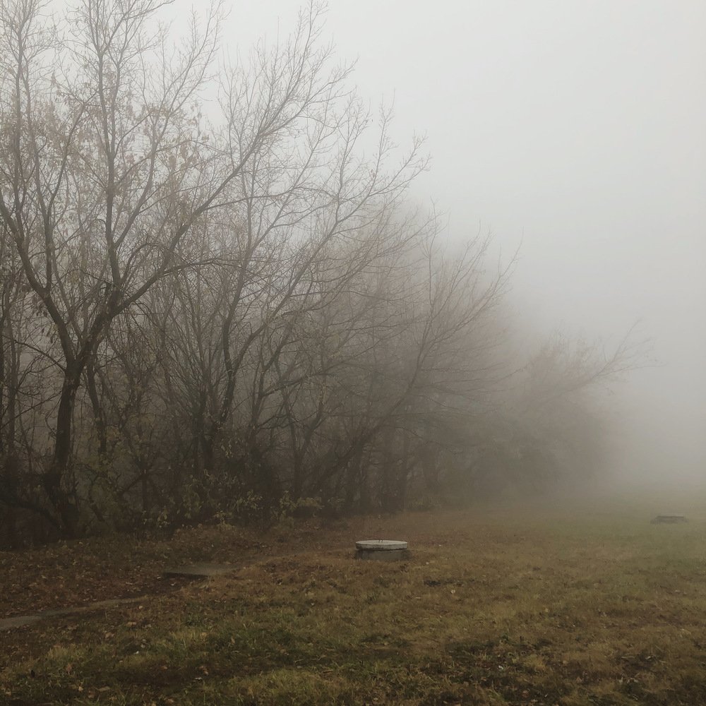 Photograph by Яна Максимова