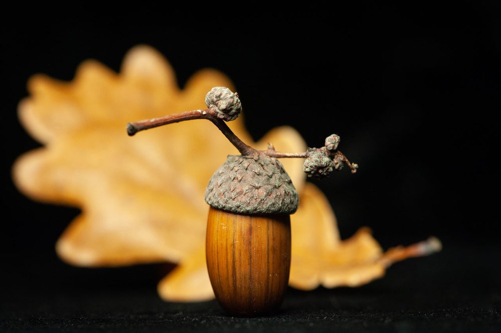 Photograph by Карина Воробьева