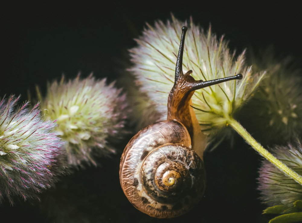 Photograph by Ольга Казакова