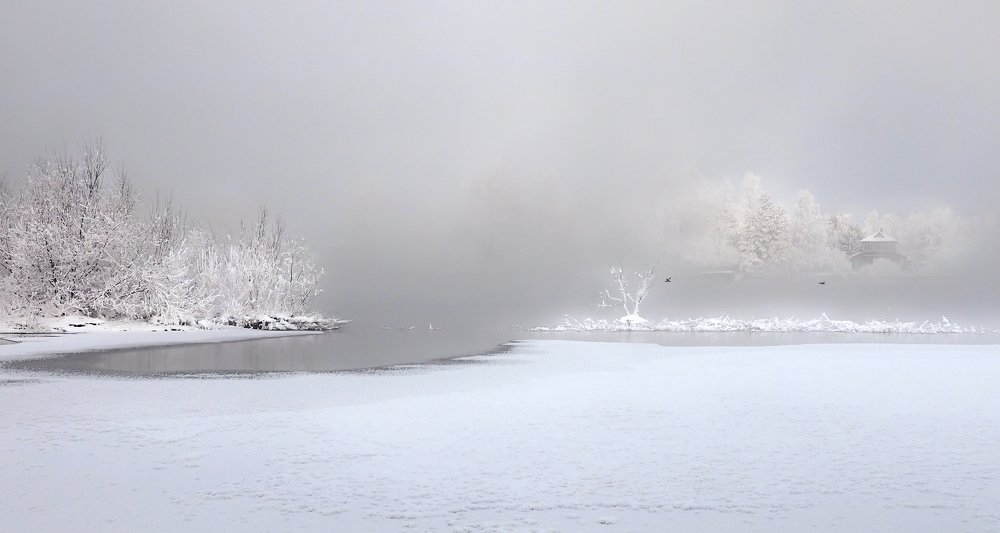 Photograph by Александр Попов