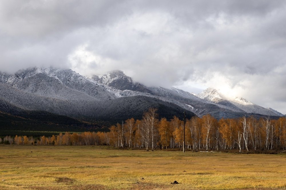 Нежный ноктюрн природы