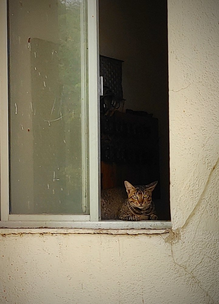 Фотография автора Parag Purkar