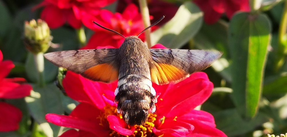 Photograph by Yuriy  Korsuntsev