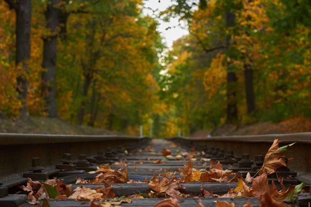 Photograph by Евгений Лобойко