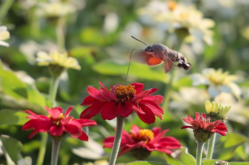 Photograph by Yuriy  Korsuntsev