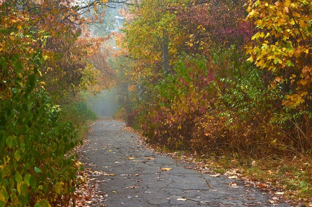 Photograph by Евгений Лобойко