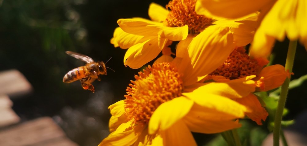 Photograph by Yuriy  Korsuntsev