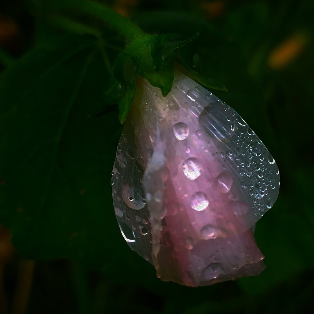 Photograph by Елена Павлова