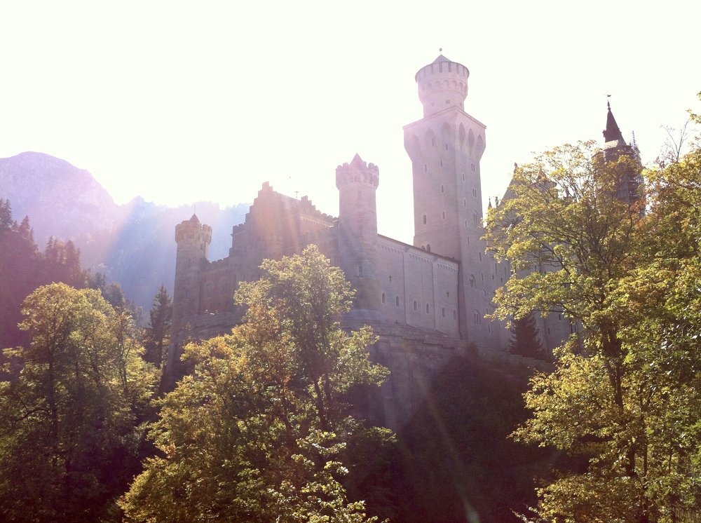 Photo #5176199