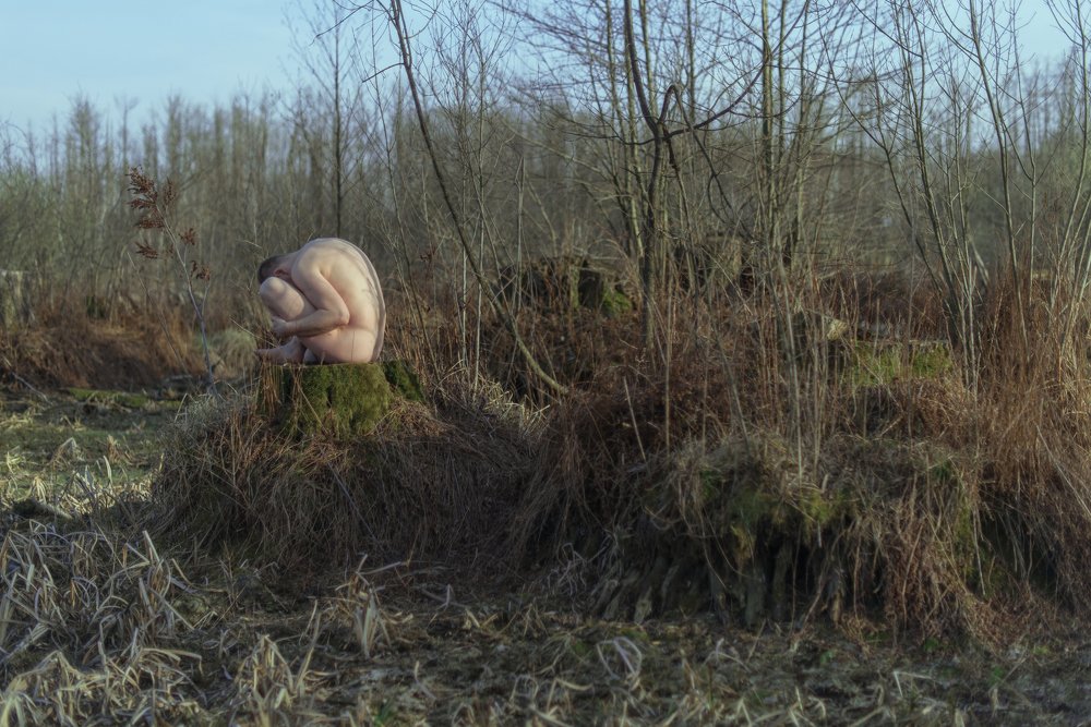 Фотография автора Светлана Селезнёва