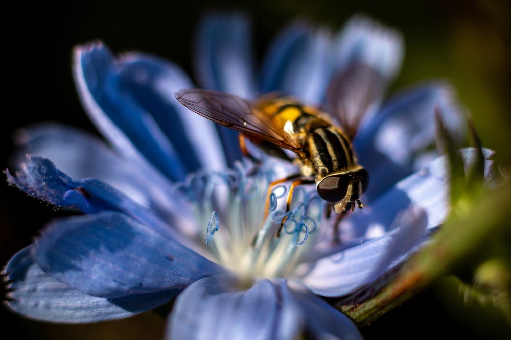 Photograph by Андрей Кульков